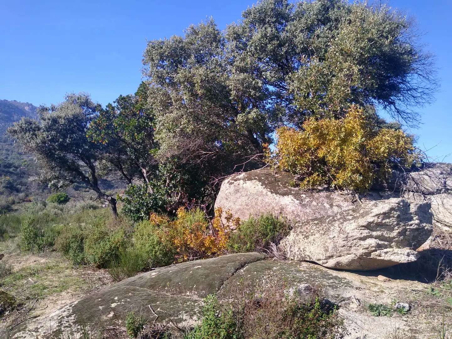 Rural land for sale in Cadalso de los Vidrios, imagen 7