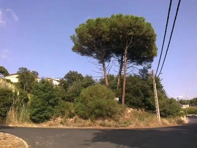 Terrenos y solares en venta en Calle ORDENAC RIELLS 246, imagen 3