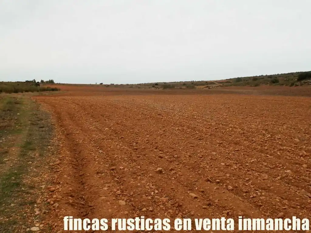 Terreny rústic en venda a Calle Albacete 10, imagen 11