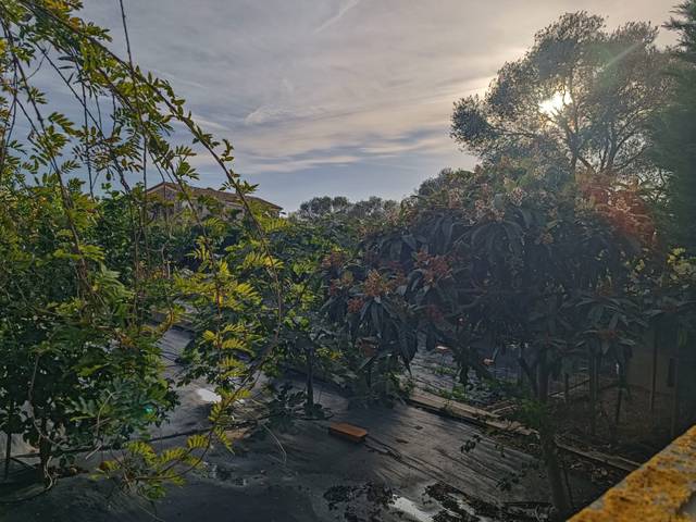 Terreno residencial en Venta en Roger de Flor en Vilajuïga