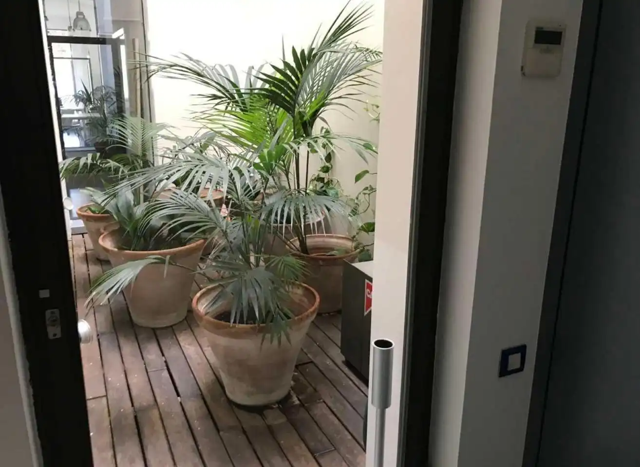 Terrasse von Büro zur Miete in Gràcia