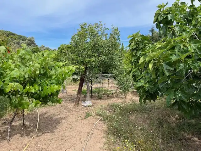 Terreni e lotti in vendita a Zafra, imagen 8