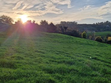 Terreno rustico in vendita a Vio - Vió