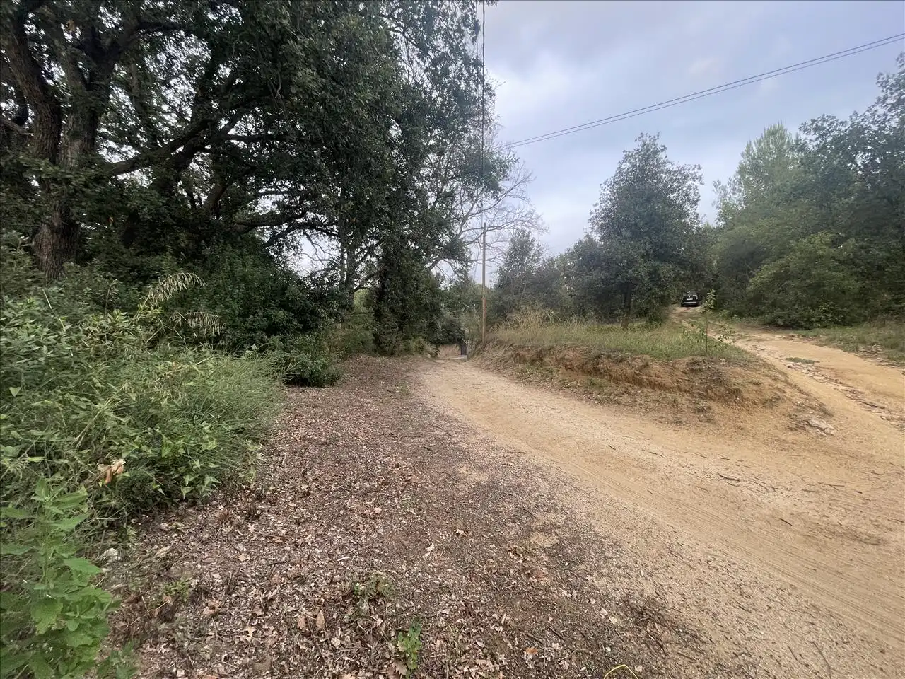 Rural land for sale in PLA DE PALOU, imagen 15