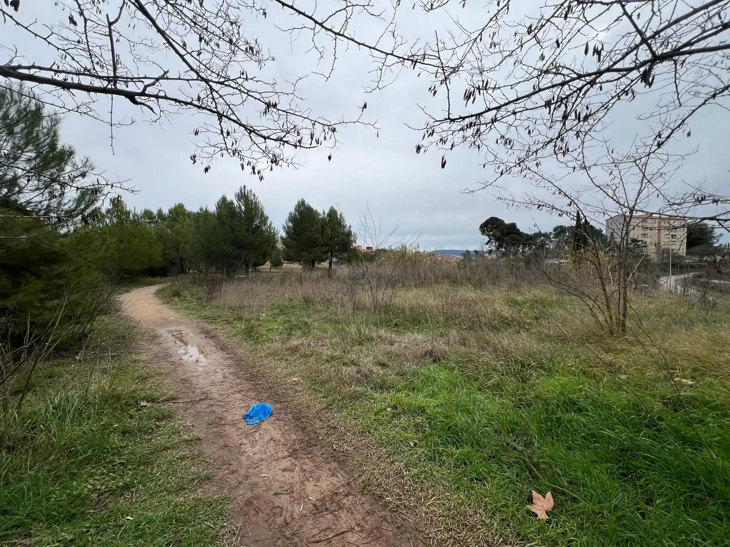 Terreno industriale in vendita a Plaça la Llana 1, imagen 9