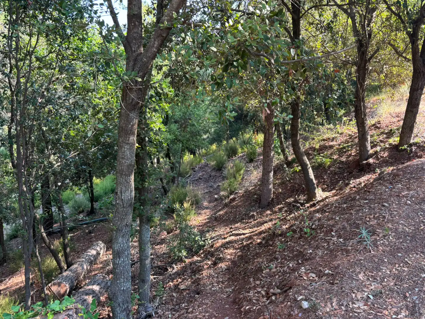 Terreno residencial en venta en Carrer del Gabi 18, imagen 2