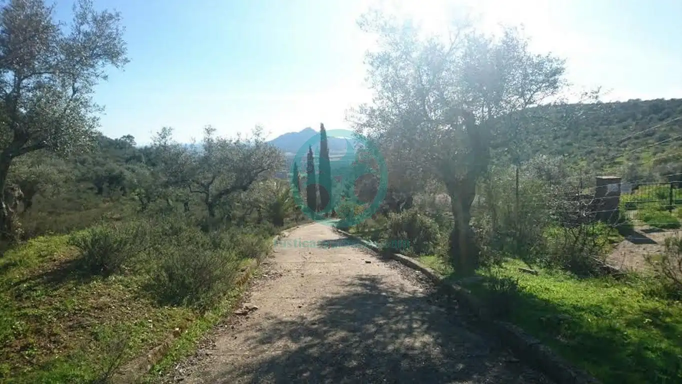 Xalet amb jardí en venda a Calle Buenavista, imagen 6