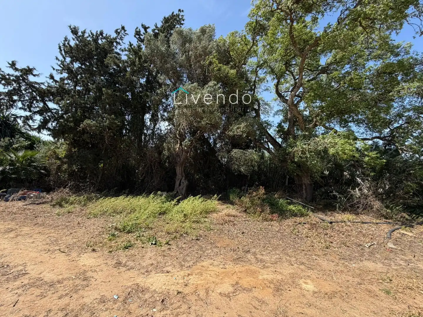 Casa o xalet en venda a Barrio Nuevo