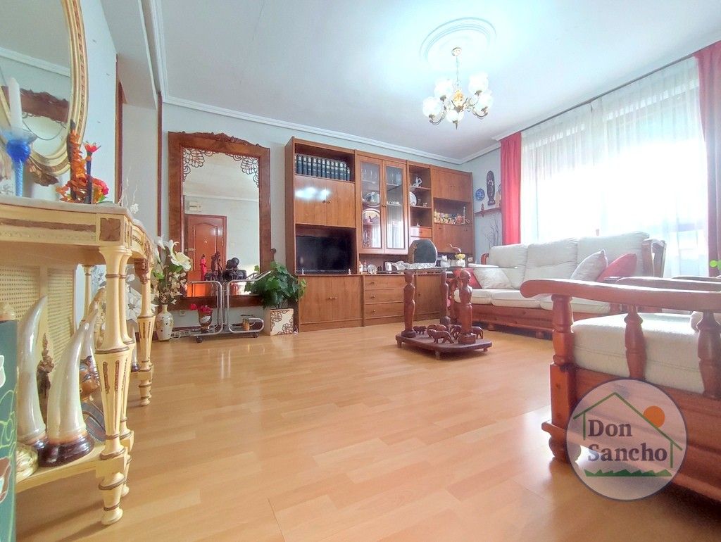 Living room of Flat for sale in Valladolid Capital