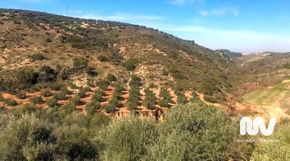 Terreni e lotti in vendita a Paraje de la Doctora, imagen 3