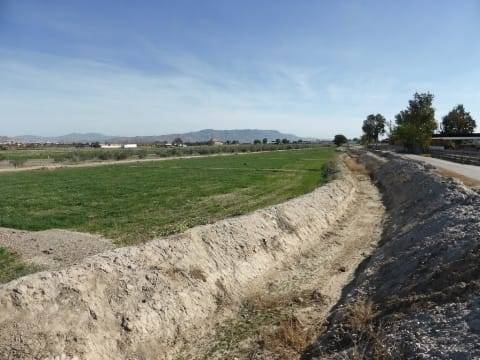 Terreno en Venta en Diputación Campillo en Campillo