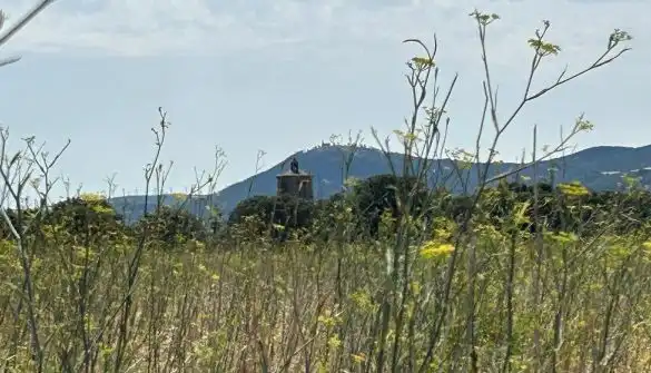 Rural land for sale in Polígono  Saratsua  polígono