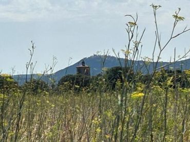 Terrain rustique à vendre à Polígono  Saratsua  polígono