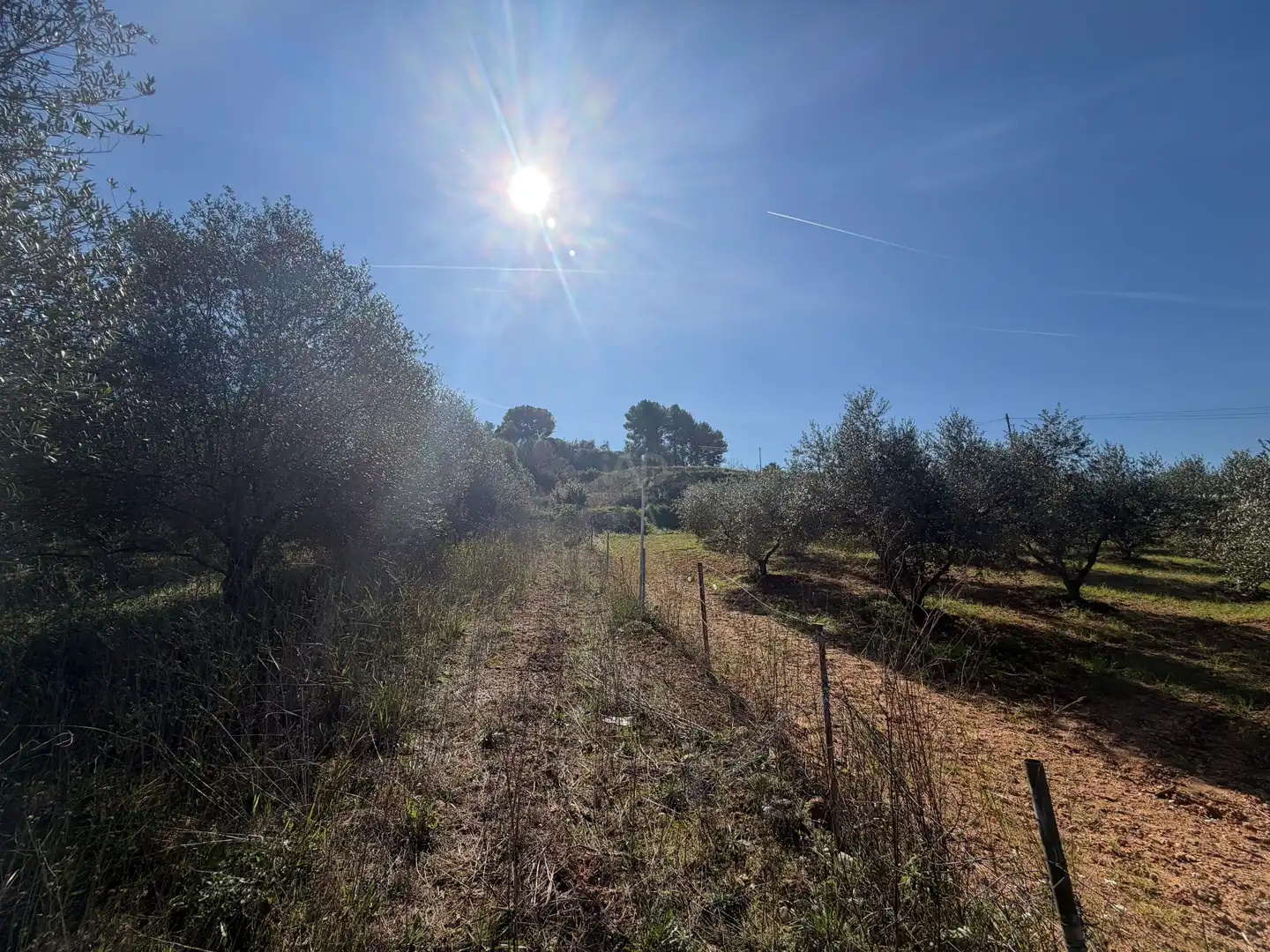 Rustikales Grundstück zum Verkauf in Castellví de Rosanes, imagen 8