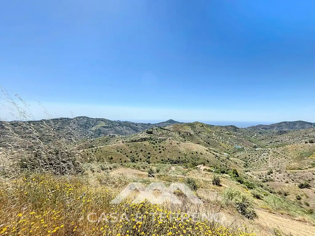 Land for sale in Canillas de Albaida