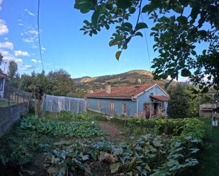 Jardí de Casa o xalet en venda en Lena amb Piscina