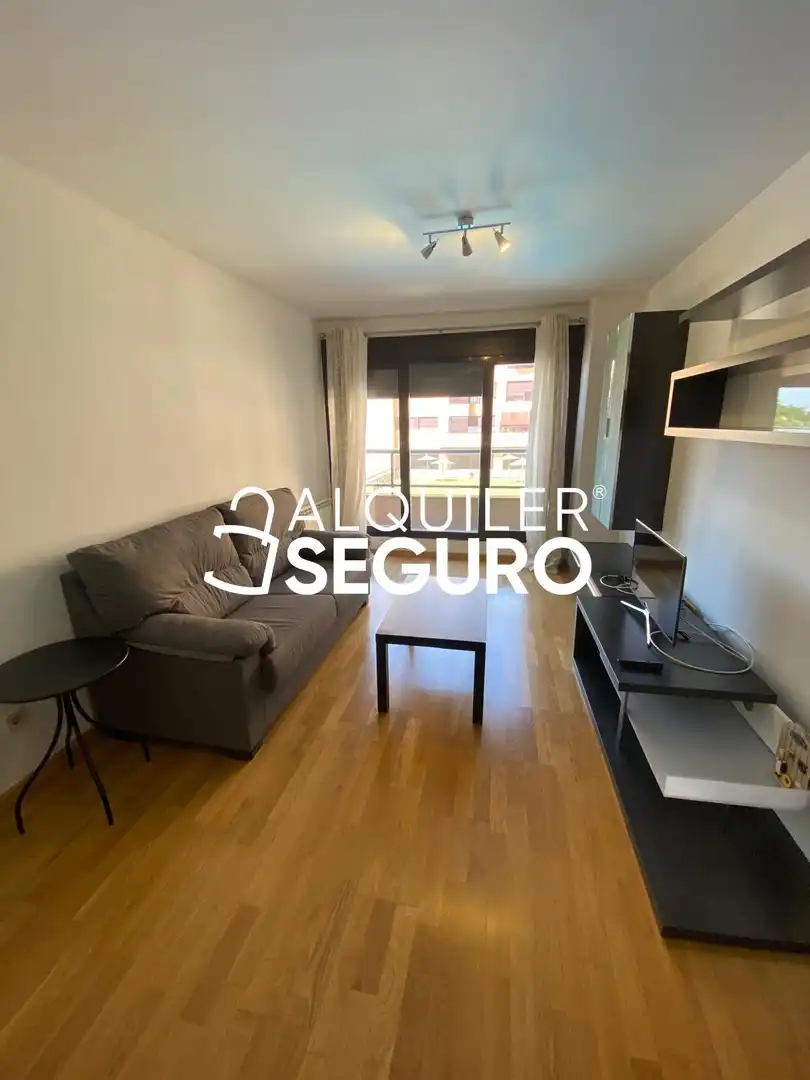 Sala d'estar de Pis de lloguer en Guadalajara amb Calefacció, Terrassa i Piscina