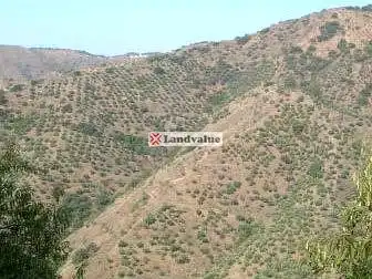 Terrenys i solars en venda a PARAJE JABONEROS Y OTROS, imagen 4