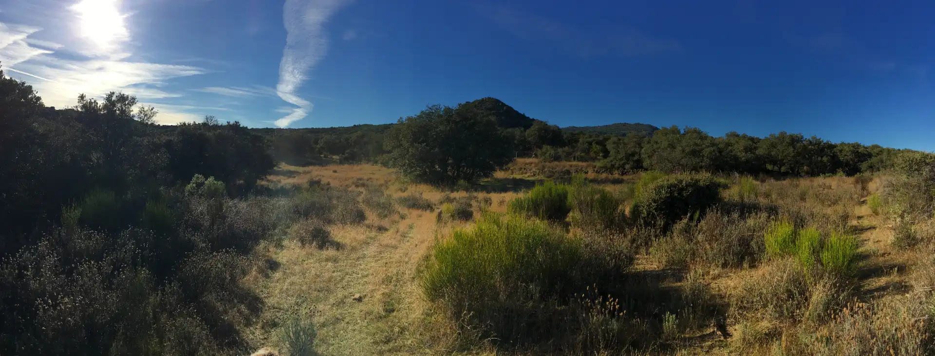 Rural land for sale in Cadalso de los Vidrios, imagen 5