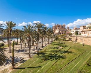 Vista exterior de Apartament en venda en  Palma de Mallorca amb Aire condicionat, Traster i Balcó