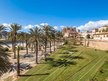 Vista exterior de Apartament en venda en  Palma de Mallorca amb Aire condicionat i Balcó