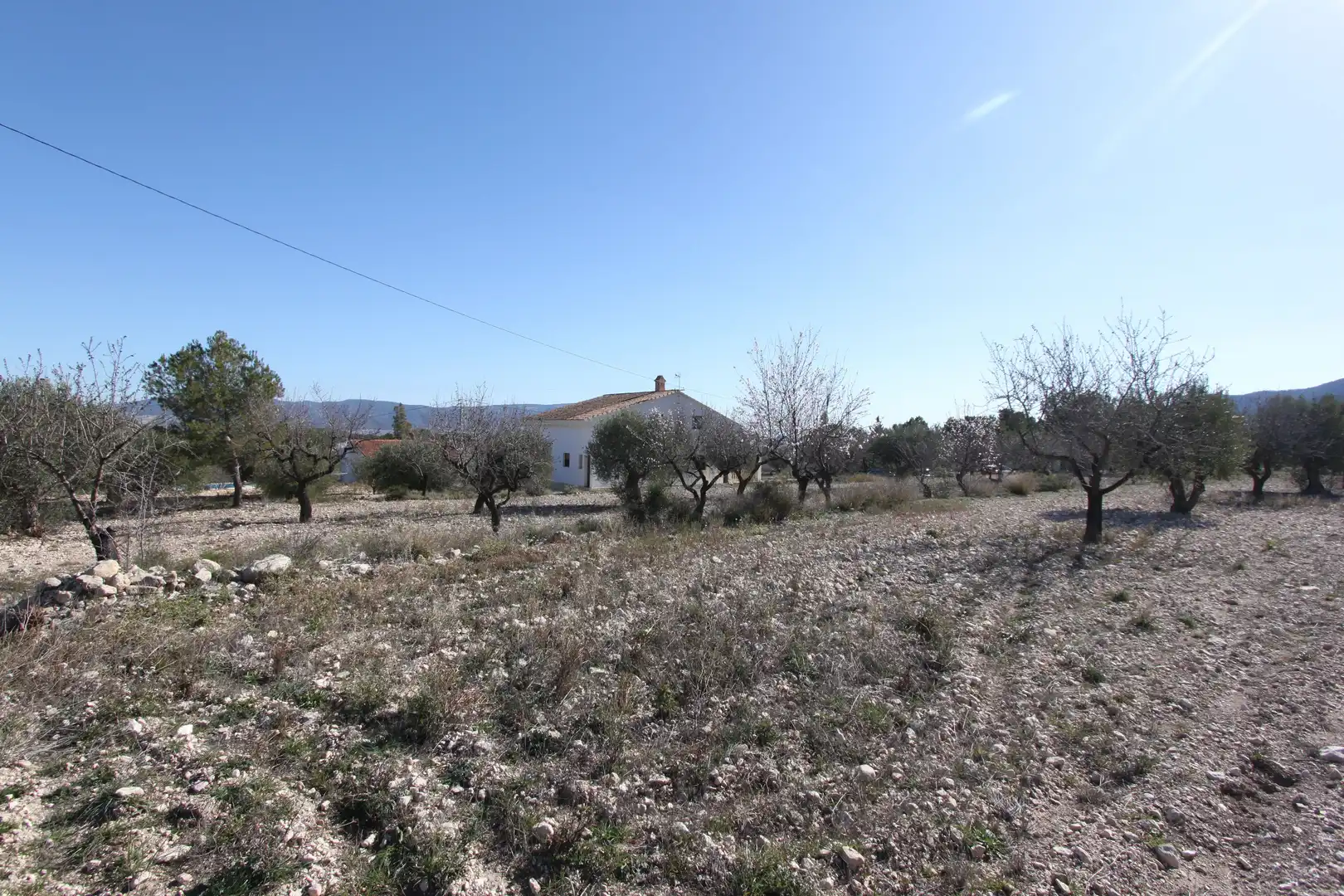Detached house for sale in Carretera Petrer-Castalla, Castalla, l'Alcoià, Alacant / Alicante, Valencian Community, 03420, Spain, imagen 7