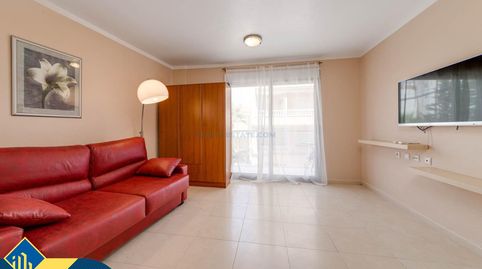 Estudio con piscina comunitaria, en la provincia de Alicante, en la ciudad de Torrevieja, en la zona de Playa de los Locos. 1 habi, imatge 2