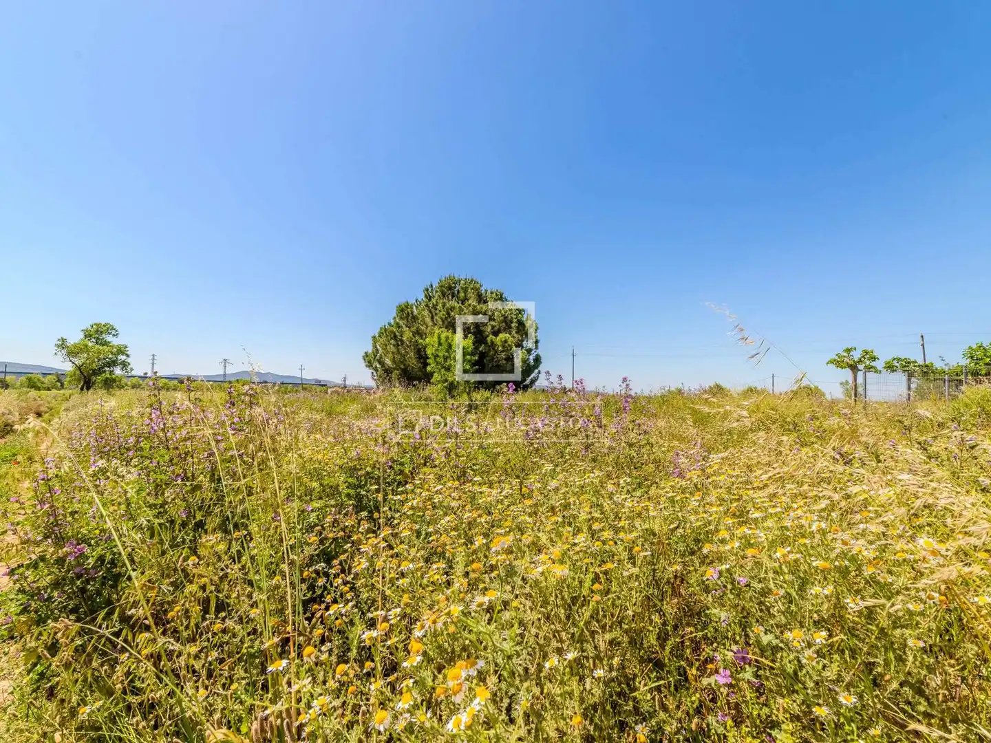 Country homes for sale in La Granada  with Heating, Private garden and Terrace