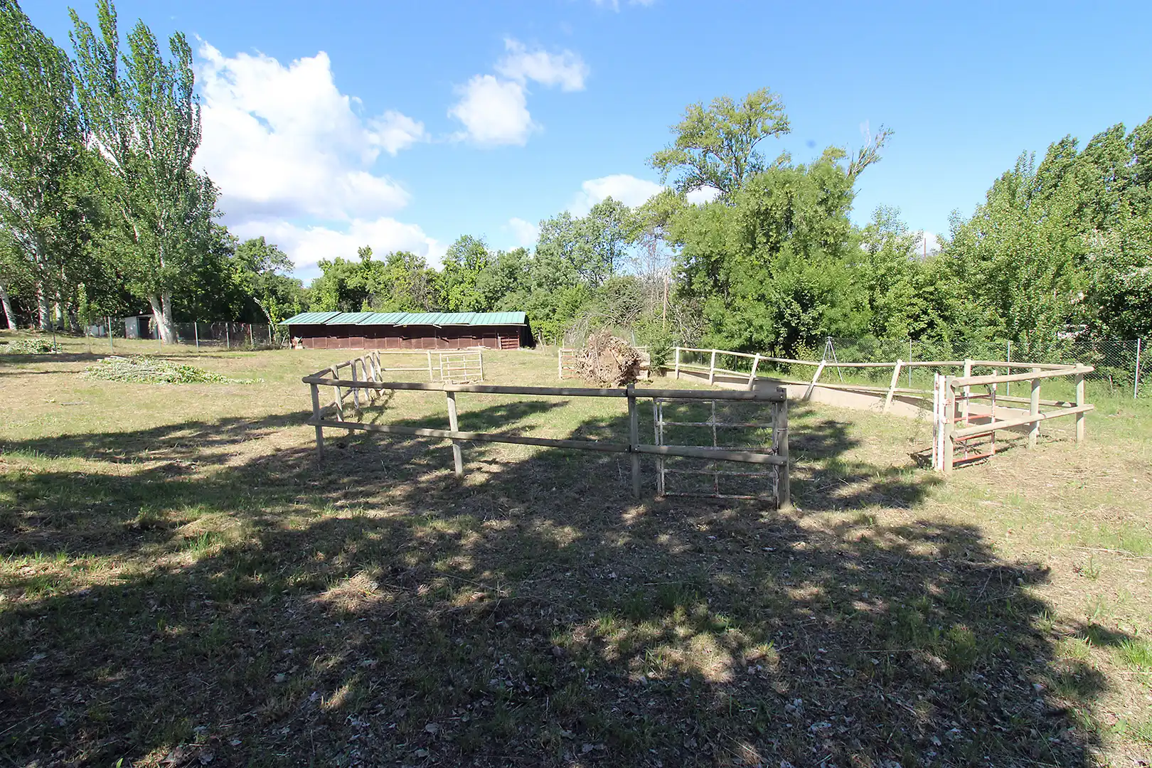 Land for sale in Torrelaguna