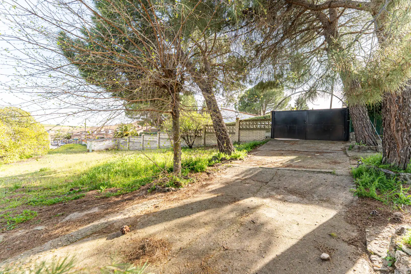 Residential land for sale in Calle de los Olivos, imagen 5