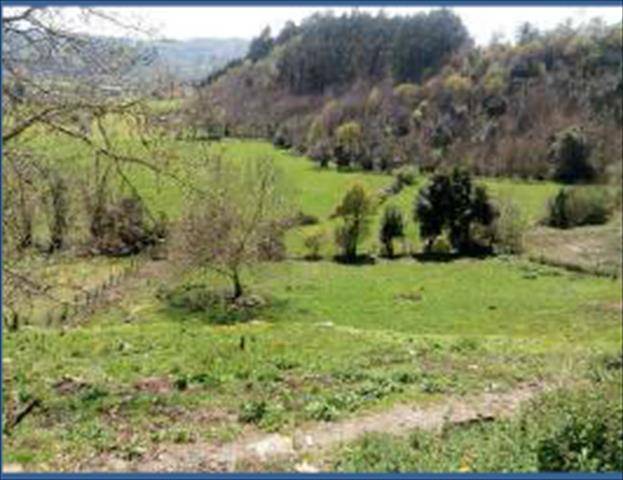 Terreno en Venta en Parroquias Norte