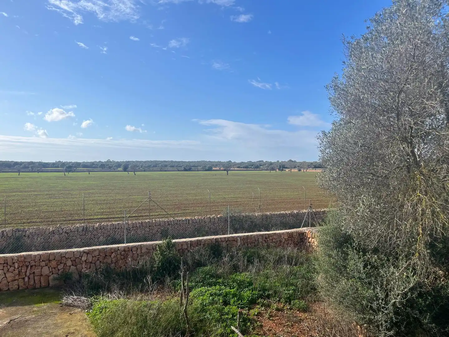 Finca rústica en venta en Llucmajor pueblo