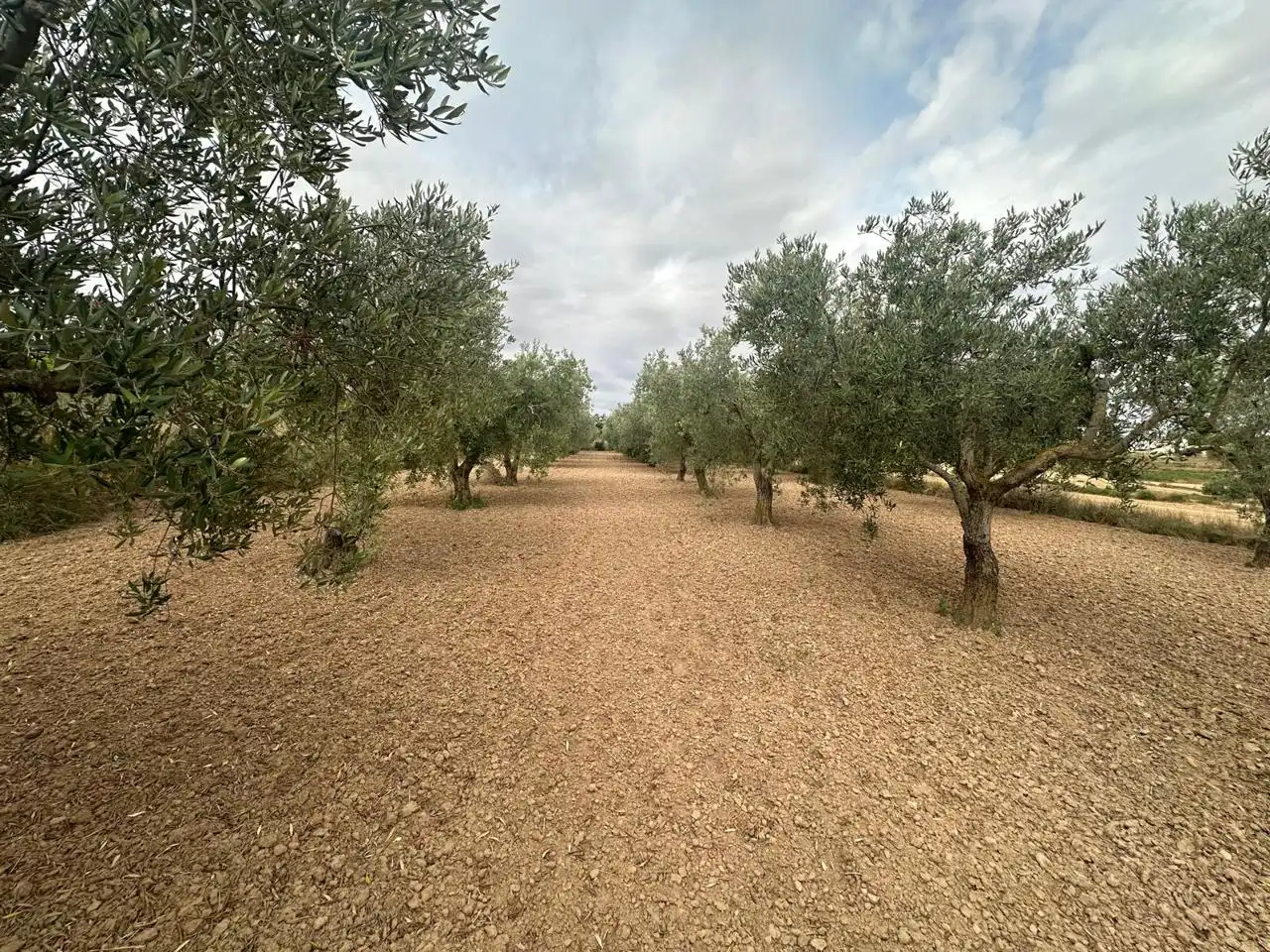 Houses for sale in Caspe  with Air Conditioner, Heating and Private garden