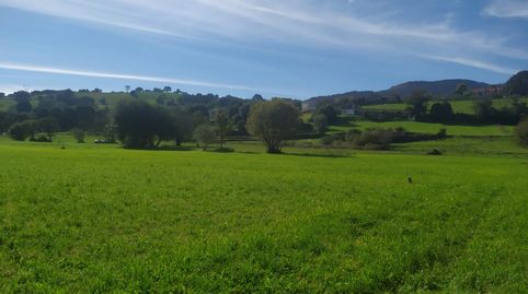 ESTUPENDA FINCA RUSTICA DE 2237 M2 ,NO EDIFICABLE,PARA DISFRUTAR DE FINES DE SEMANA O TENER TU HUERTA DONDE DESCONECTAR DEL BULLIC, imatge 2