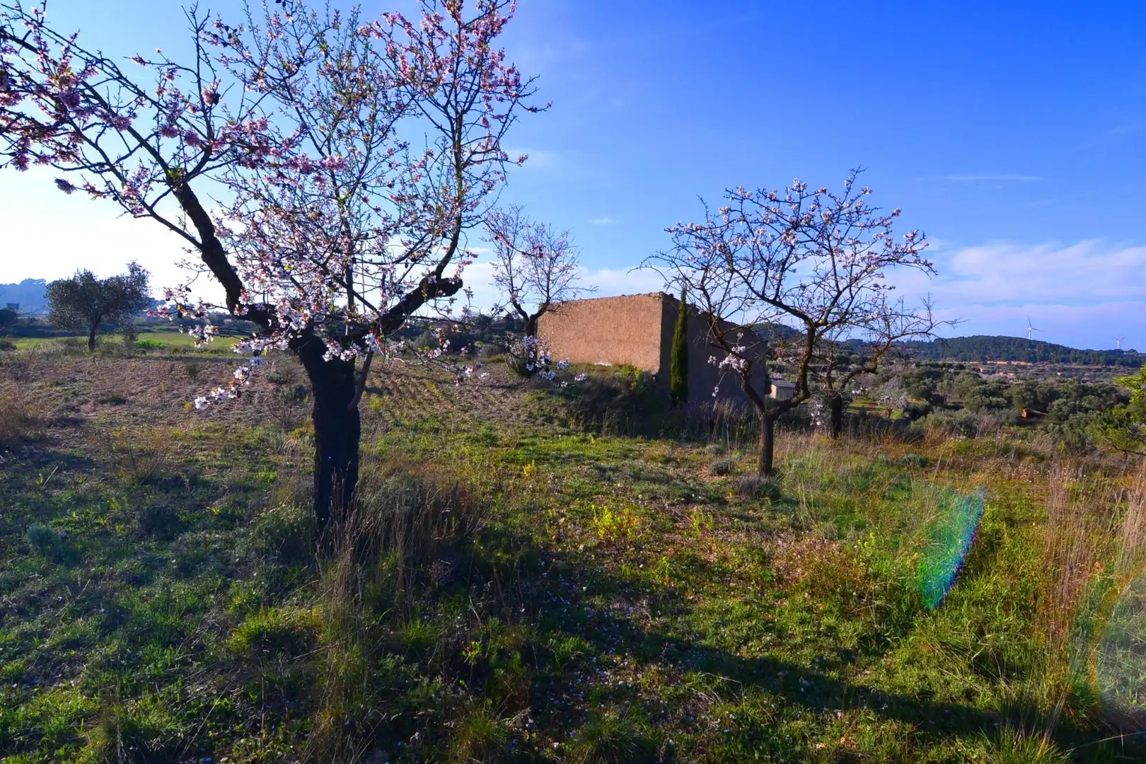 Rural land for sale in Gandesa, imagen 20
