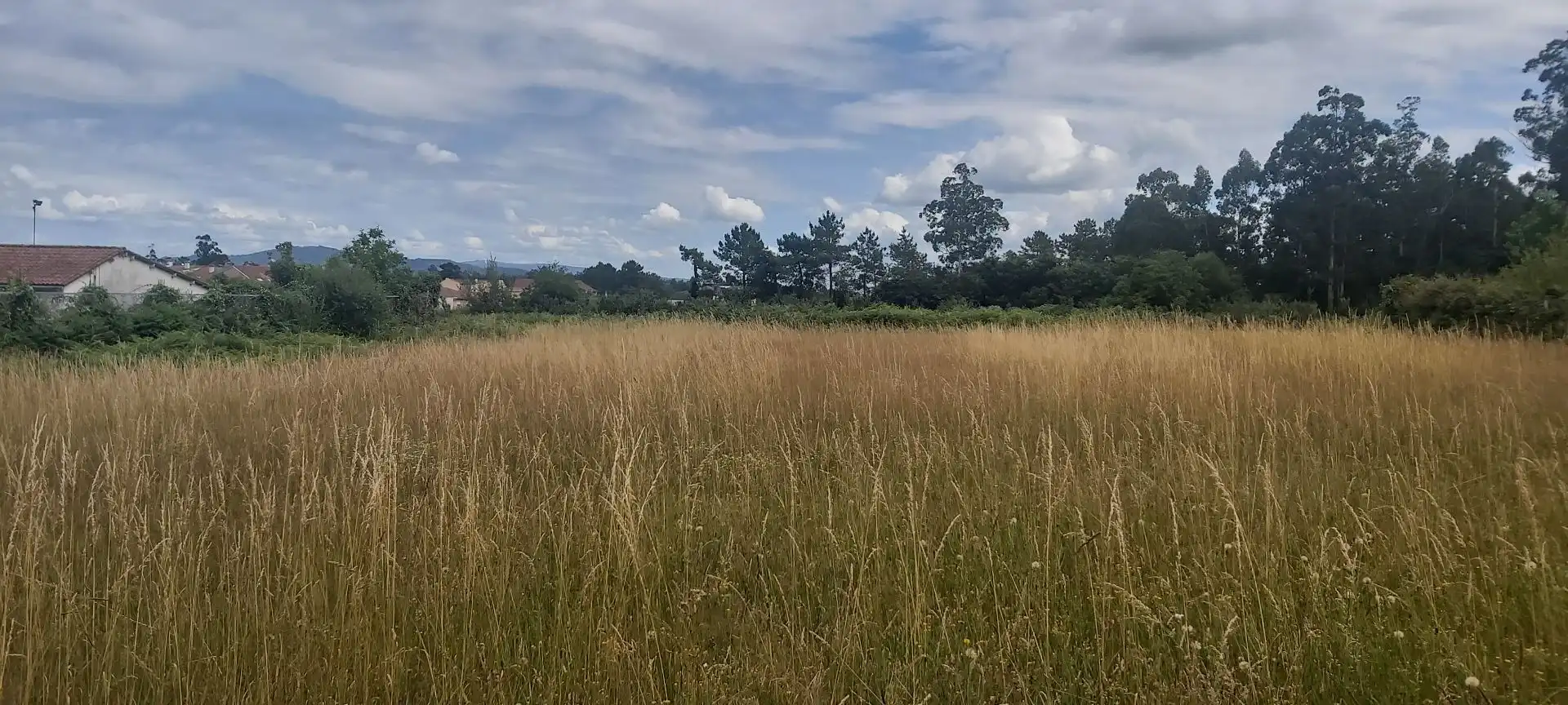 Lands and plots for sale in Castelao