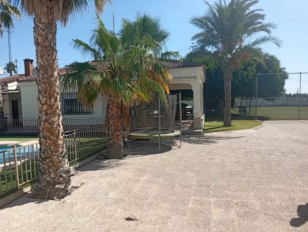 Exterior view of Flat for sale in Crevillent