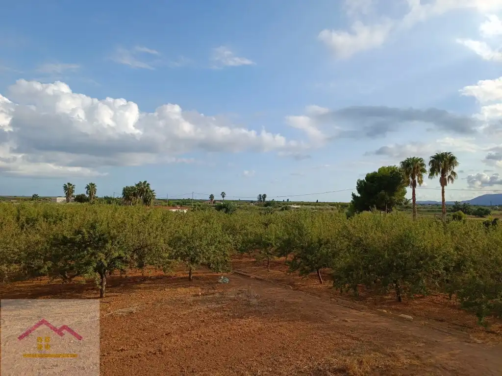 Finca rústica en venda a Calle Oropesa, 14, Torreblanca