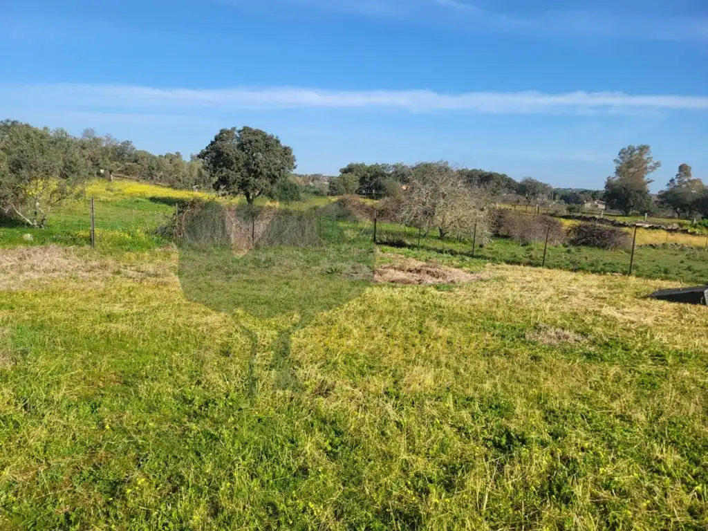 Finca rústica en venta en Arroyo de la Luz