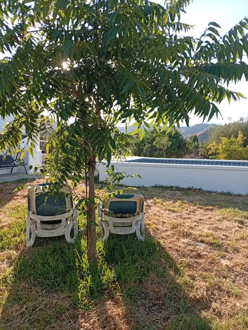 Casa rústica amb piscina en venda a Coín, imagen 3