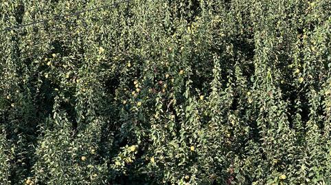 Foto 5 de Finca rústica en venda a Órgiva, Granada