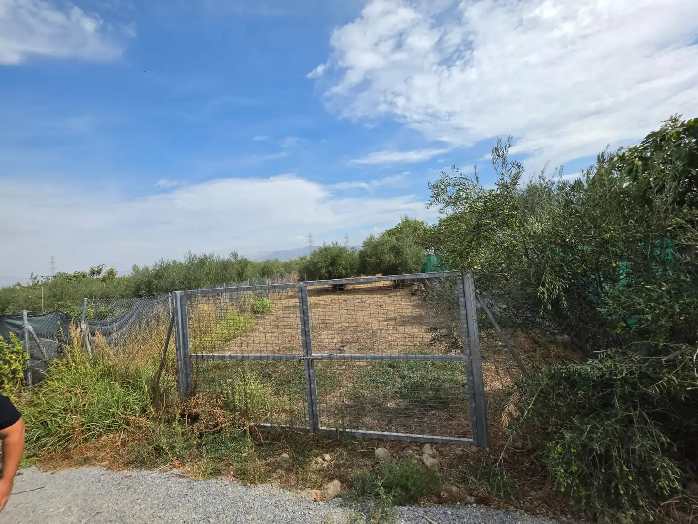 Terreno rústico en venta en Híjar
