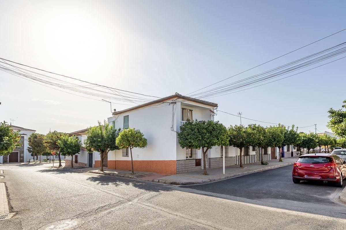 Exterior view of House or chalet for sale in Láchar