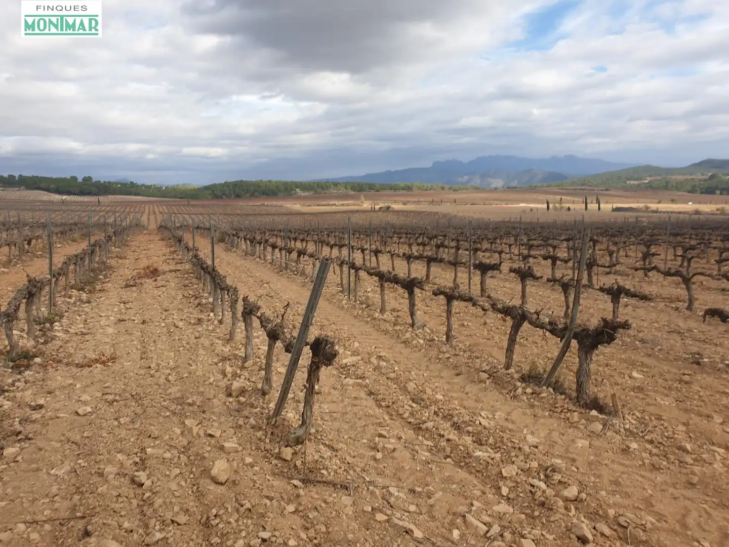 Finca rústica en venda en Vilafranca del Penedès
