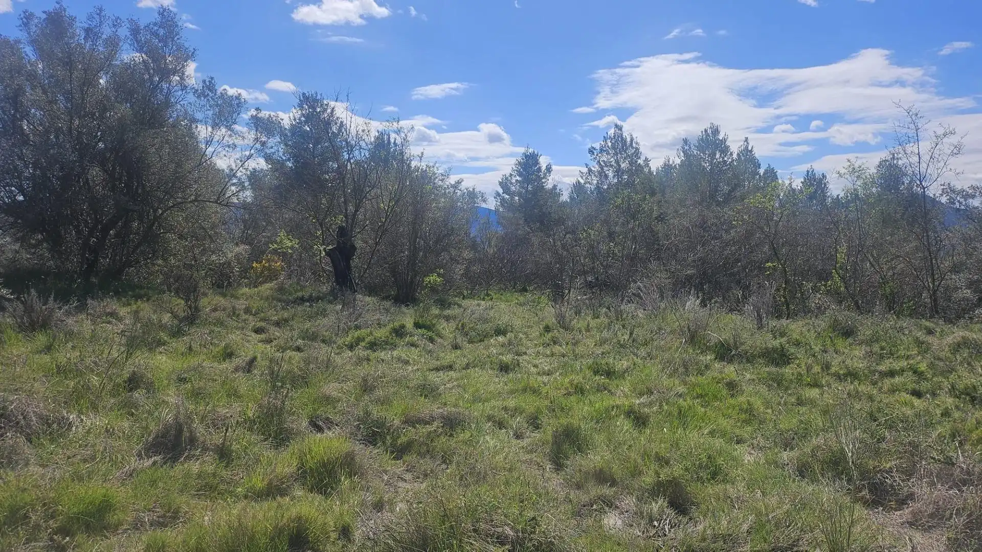Terrain rustique à vendre à Millena, imagen 10