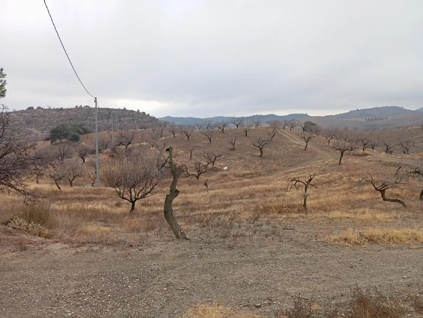 Casa rústica amb jardí en venda a Puerto Lumbreras, imagen 19