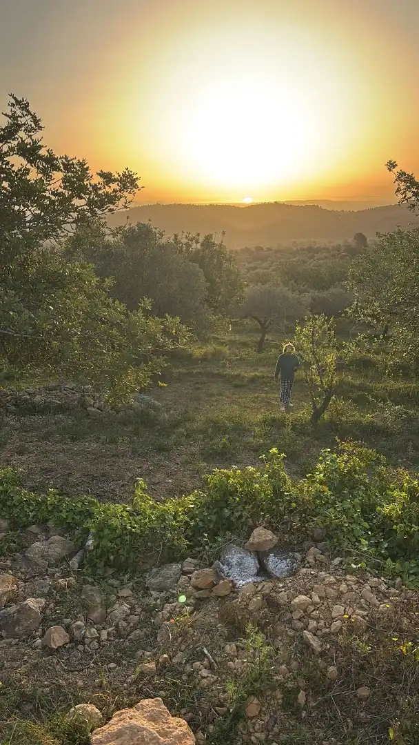 Jardín de Terreno en venta en Canet lo Roig