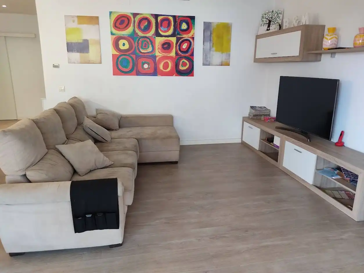 Living room of Flat for rent in Llevant