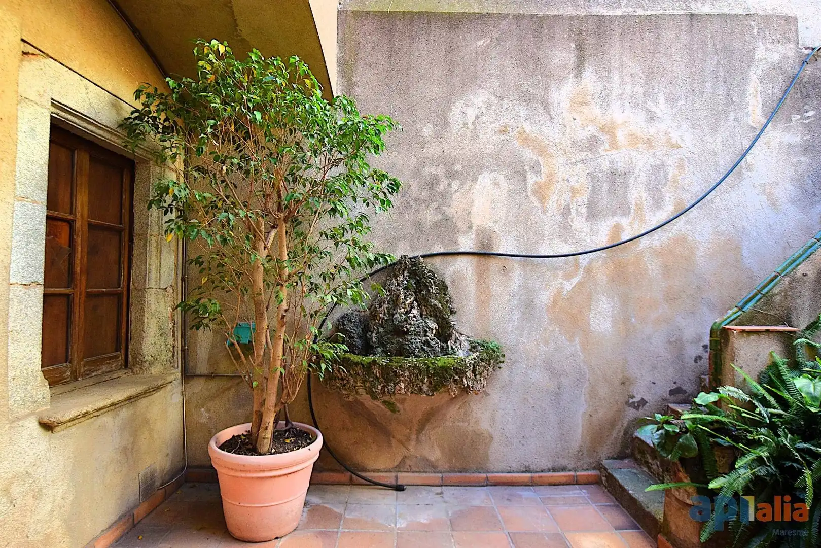 Adosado con jardín en venta en Carrer BONAIRE, imagen 6