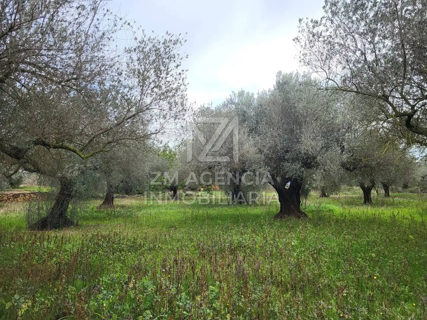Terreno rustico in vendita a Cabanes, imagen 22